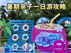 -南京银杏湖乐园