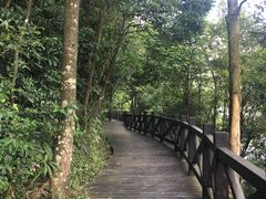 -广州市石门国家森林公园