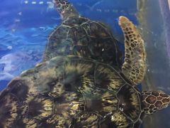 -大明湖海底世界