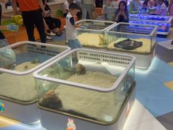 -meland亲子乐园•派对•研学(苏州悠方购物中心店)