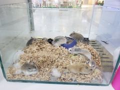 -乐宠宠物店(世纪金源店)