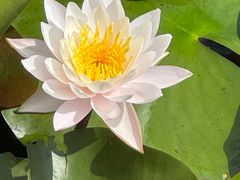 -花溪公园