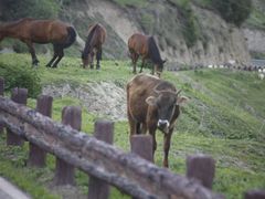 -新疆那拉提国家旅游度假区