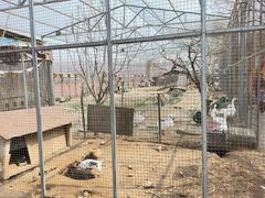 -河北村民俗体验园
