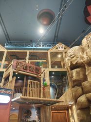 -卡通尼·Safari非洲探索乐园·生日会(金桥国际商业广场店)