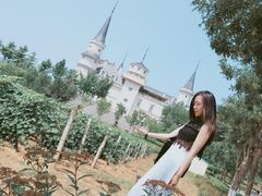 -北京张裕爱斐堡酒庄