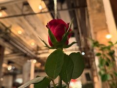 -COMMUNE RESERVE幻师(愚园路店)