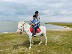 -青海湖国家重点风景名胜区