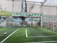 -飞梦少儿足球培训(塘桥校区)