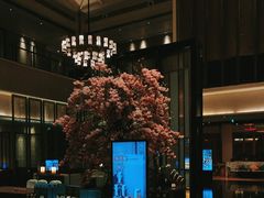 -成都安仁福朋喜来登酒店