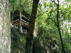 -南山植物园