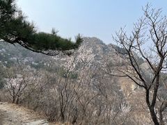 -北京鹫峰国家森林公园