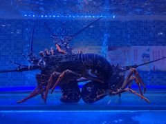 -红顶食府(滨湖九号店)