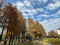 -四海公园(南山区)