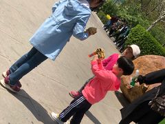 景点-石家庄市动物园