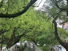 -安亭老街