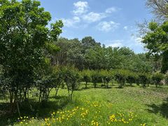 -白鹭湾湿地公园
