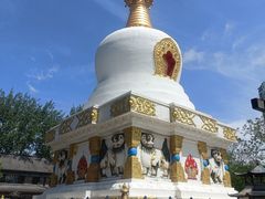 -护国法轮寺