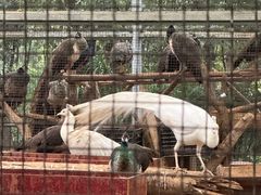 -柳州市动物园