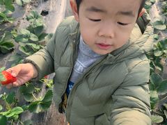 -小鱼草莓采摘园农家乐·小鱼餐厅
