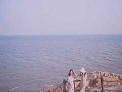 -枸杞岛