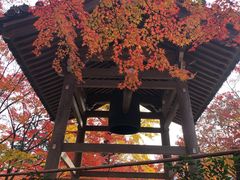 -常寂光寺
