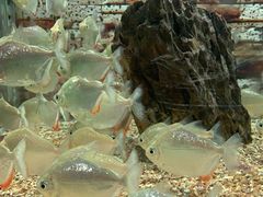 -秦皇岛新澳海底世界