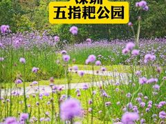 -麗枫酒店(深圳机场福永地铁站店)