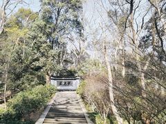 -虎跑公园