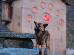 -新安江山水画廊风景区