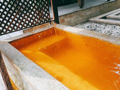 -春晖园度假酒店温泉