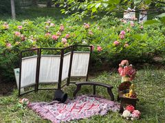 -洛阳市隋唐城遗址植物园