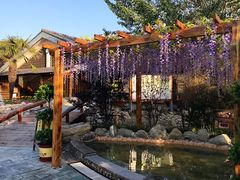 -华山御温泉度假村