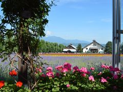 -富田农场