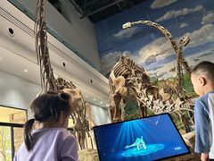 -自贡恐龙博物馆