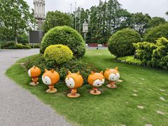 -上海长兴岛郊野公园