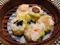 五色烧卖-新兴·金羊座·粤菜点心(乐峰店)