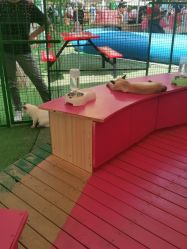 -萌宠亲子动物乐园(槐房万达店)