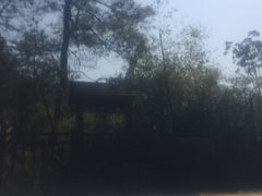 picture-天目湖涵田度假村