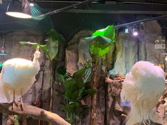 -正佳雨林生态植物园