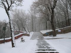 -阳台山自然风景区