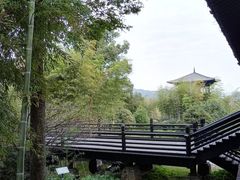 -大唐贡茶院