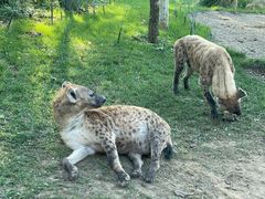 -北京野生动物园