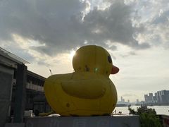 -长洲岛