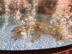 -泰华城渔村酒楼