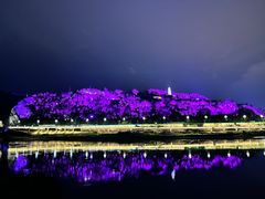 -中国宜宾·长江地标广场