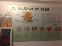 -宜肤清颜专业祛痘问题肌修护