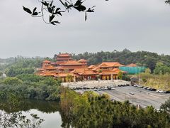 -三水森林公园