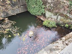 -千岛湖东南湖区