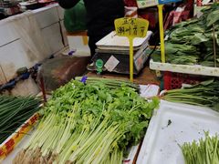 -珠光市场(文德南路)
